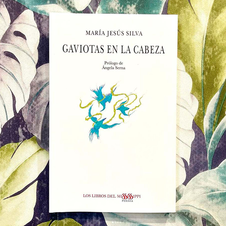Gaviotas en la cabeza portada libro ilustracion book cover illustration Naza del Rosal