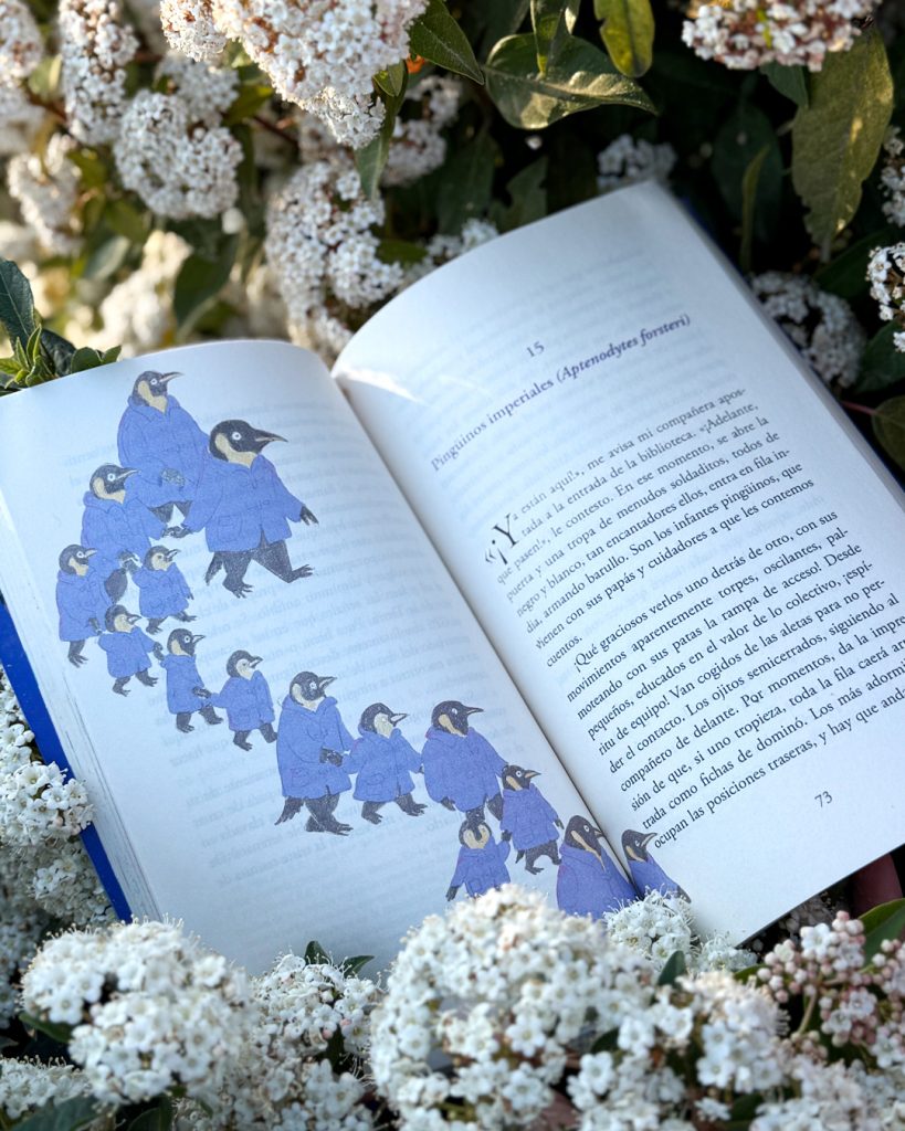 Bibliozoo Naza delRosalOrtiz w3