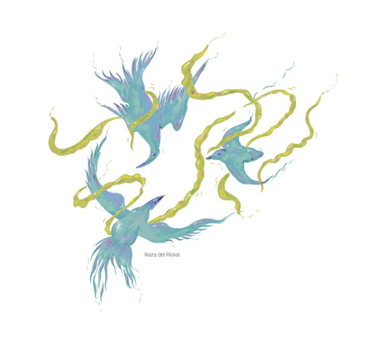 Gaviotas en la cabeza Maria Jesus Silva Naza del Rosal