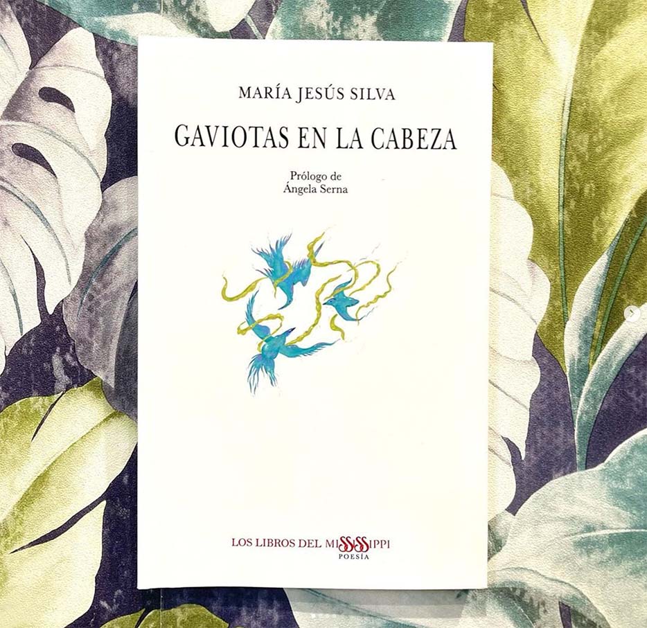 Gaviotas en la cabeza portada libro ilustracion book cover illustration Naza del Rosal w