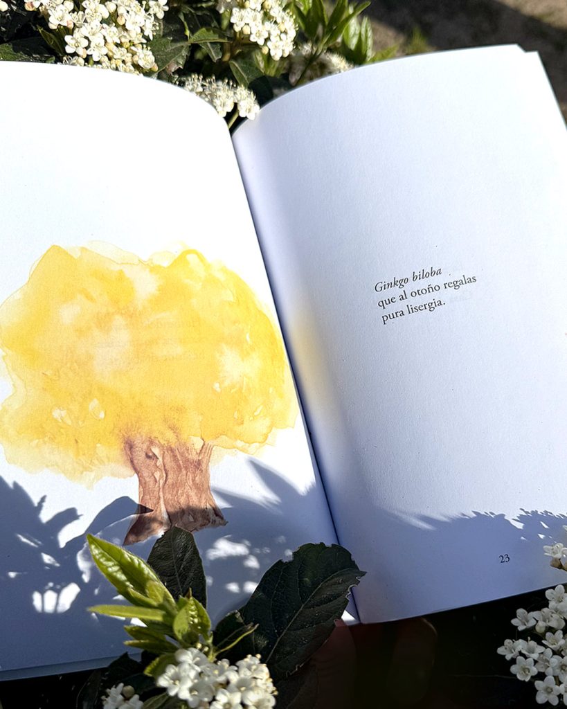 Hojas caidas Naza del Rosal Juan Martin Pinilla 4