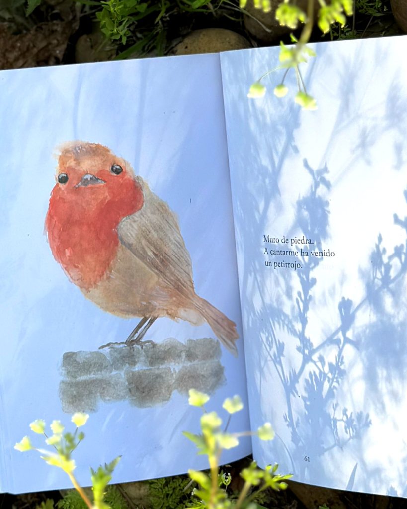 Hojas caidas Naza del Rosal Juan Martin Pinilla 6